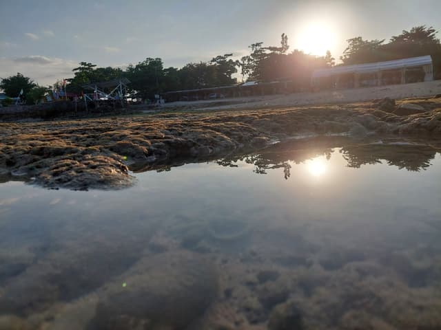 Tentative Radiance - Along the Shoreline