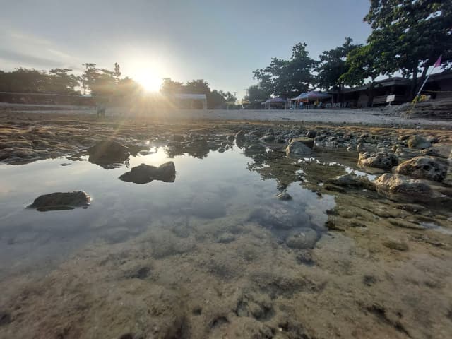 Ants View - Choir along the Sea